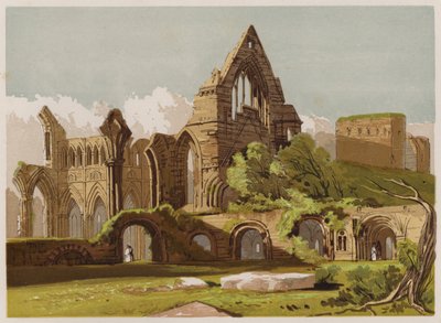 Dryburgh Abbey (färg litho) av English School