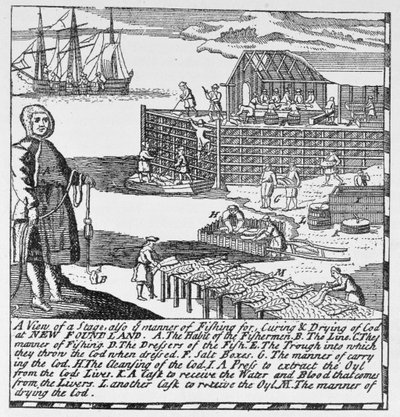 Tidiga fiskestadier, illustration från volym IV av "Narrative and Critical History of America", 1886. av English School