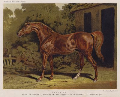 Eclipse (färg litho) av English School