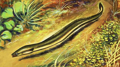 Ål av English School