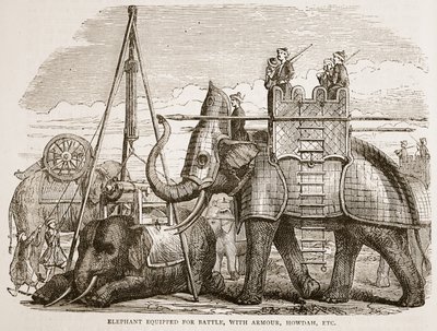 Elefant utrustad för strid, med rustning, howdah, etc., illustration från Cassells Illustrated History of India av James Grant, pub. 1879 av English School