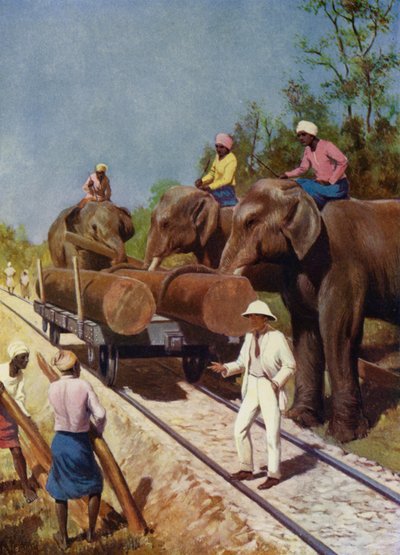 Elefanter laddar teak (färg litho) av English School