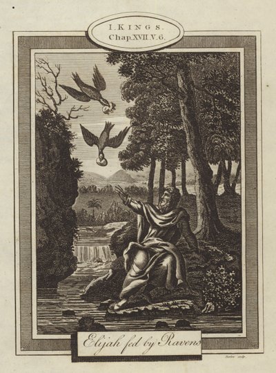 Elia matad av Ravens, I Kings, Kapitel XVII, Vers 6 (gravyr) av English School