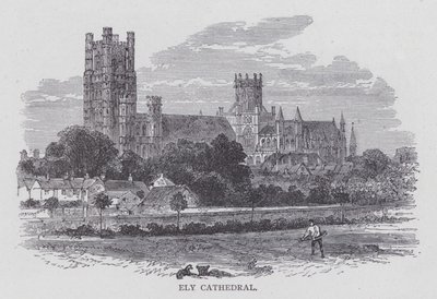 Ely Cathedral (gravyr) av English School
