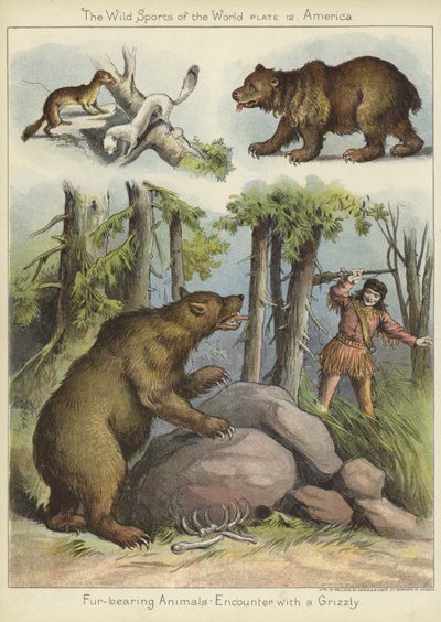 Möte med en grizzly av English School