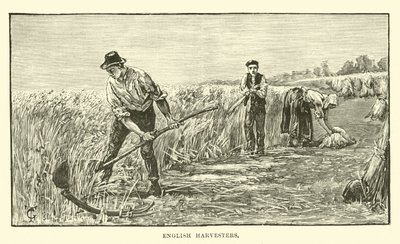 Englische Erntearbeiter von English School
