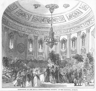 Utställning av Royal Horticultural Society i Rotunda, Dublin, illustration från "The Illustrated London News", 1854. av English School