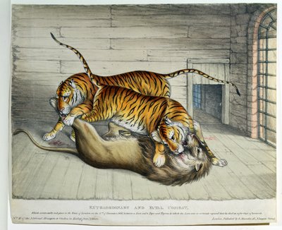 Extraordinär och dödlig strid, 1830 (färgad litho) av English School