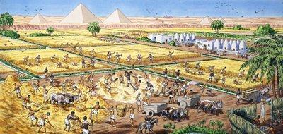 Jordbruk i Egypten av English School
