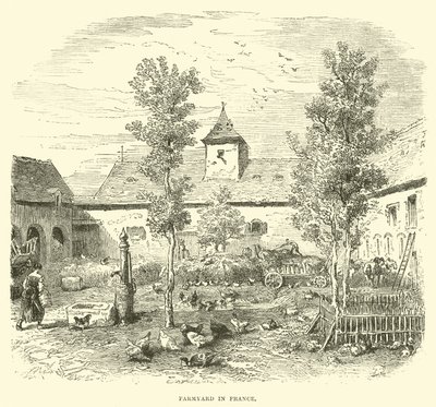 Bauernhof in Frankreich von English School