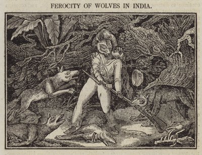 Wolves våld i Indien (gravyr) av English School