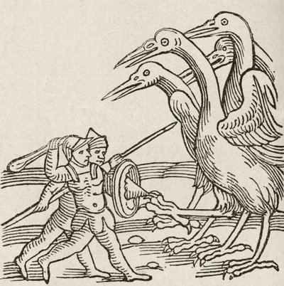 Slåss mellan pygméer och tranor. En berättelse från den grekiska mytologin. Från The Strand Magazine publicerad 1897. av English School