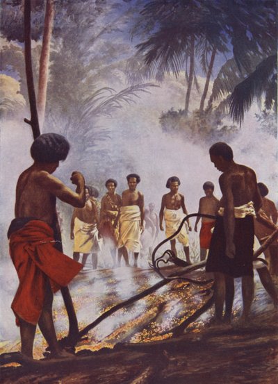 Brandvandring i Fiji av English School