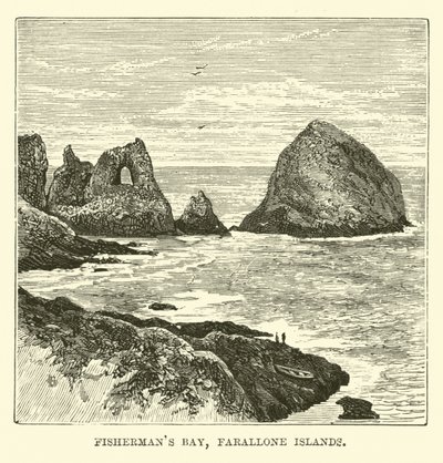 Fishermans Bay, Farallonöarna av English School