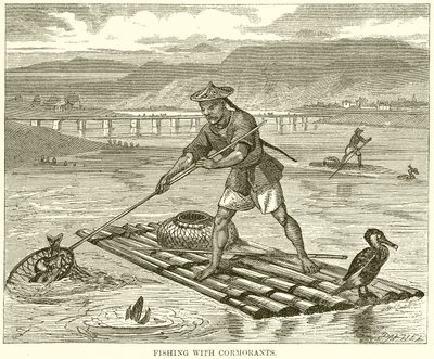 Fiske med skarv av English School