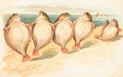 Fem plattfiskar som dansar på en strand av English School