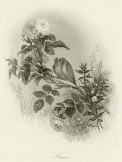 Blommor av English School