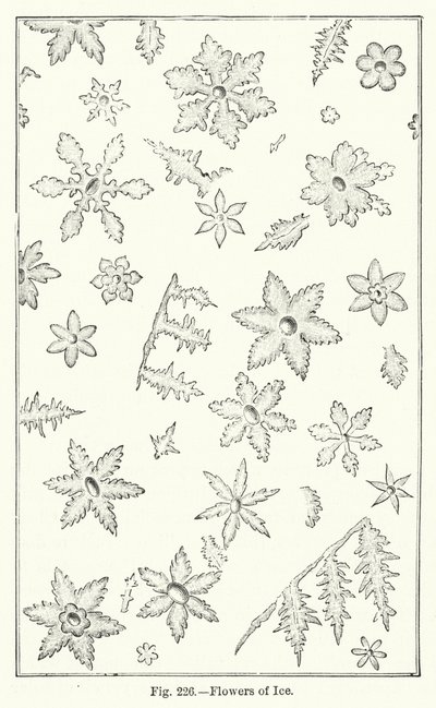 Flowers of Ice (gravyr) av English School