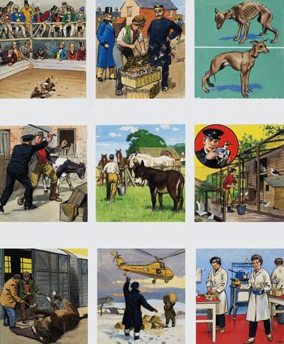 Från då till nu: The Story of the RSPCA av English School