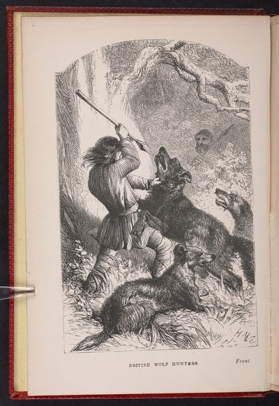 Frontispice från The British Wolf-Hunters. En berättelse, etc., av Thomas Miller av English School