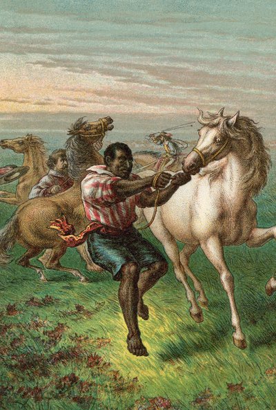 Garibaldis soldater bryter vilda hästar av English School