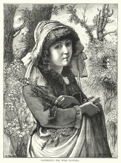Att plocka de vilda blommorna (gravyr) av English School