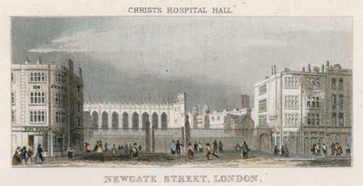 Allmän bild av Christs Hospital av English School