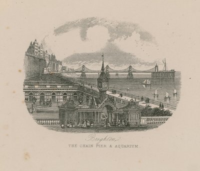 Allmän vy av Chain Pier and Aquarium vid havet i Brighton av English School