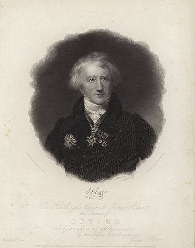 George Cuvier av English School