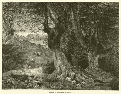 Gläntan i Burnham Beeches (gravyr) av English School