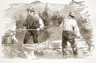 Gold-washing at the Diggings, från The Illustrated London News, 1849 av English School