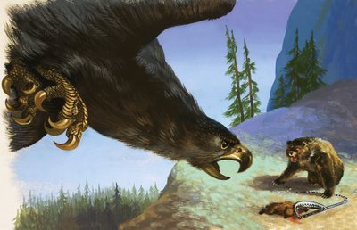 Golden Eagle attackerar björn för djur i fälla av English School