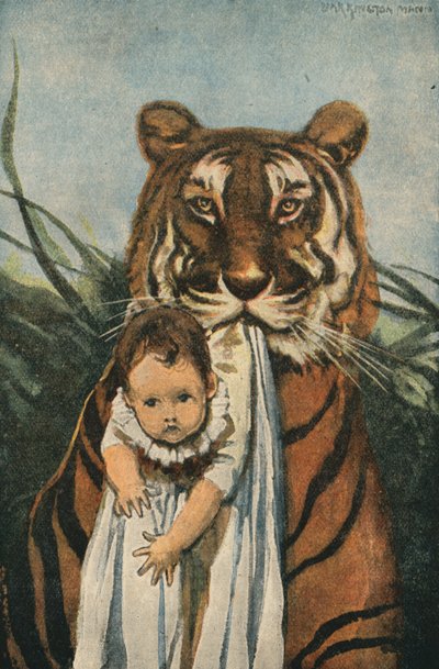 Good Tiger (färglitografi) av English School
