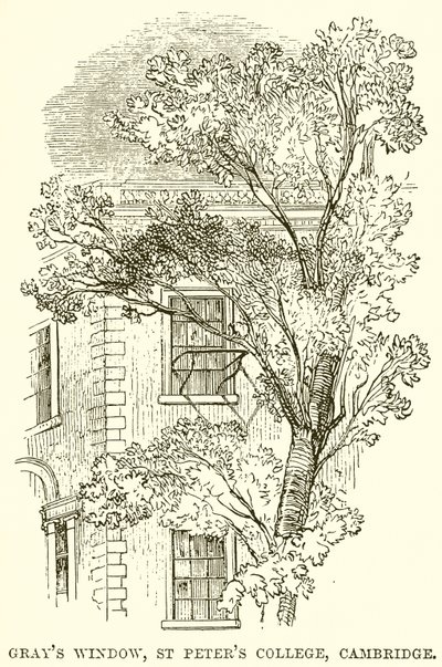 Grays Window, St Peters College, Cambridge av English School