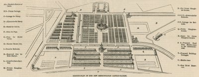 Planritning av den nya Metropolitan Cattle Market, Copenhagen Fields av English School