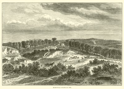 Hampstead Heath 1840 (gravyr) av English School