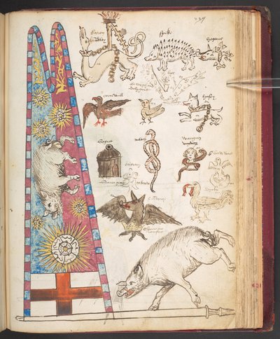 Harley 4632, f.242, Richard III:s banderoll i Bosworth, plus Yorkistisk sunburst (vellum) av English School