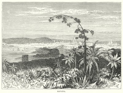 Havanna von English School