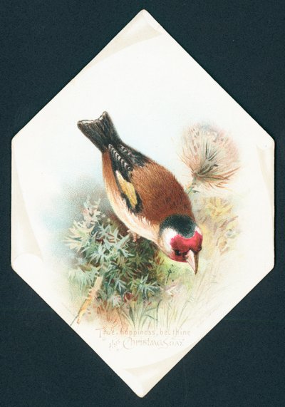 Hagfinch, julkort av English School