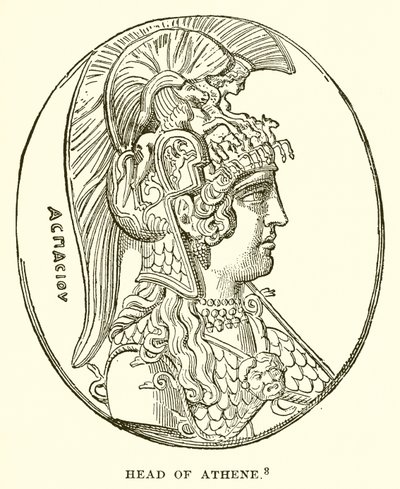 Kopf der Athene von English School