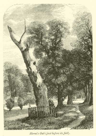 Hernes Oak, strax innan dess fall av English School