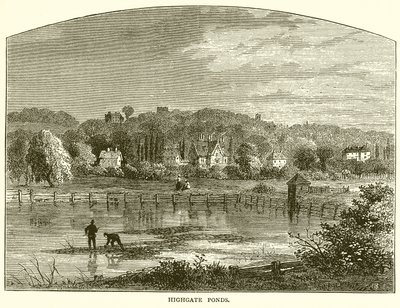 Highgate Ponds av English School