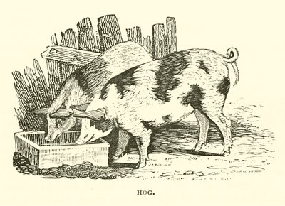 Hog (gravyr) av English School