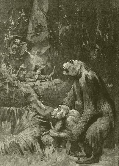 Gorillans hem (gravyr) av English School