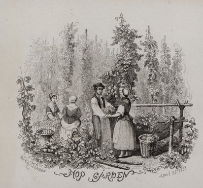 Humleträdgård (gravyr) av English School