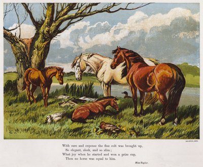 Hästar med en ung hingst på en flodstrand (färgad gravyr) av English School