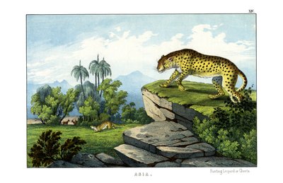 Jakt på leopard av English School