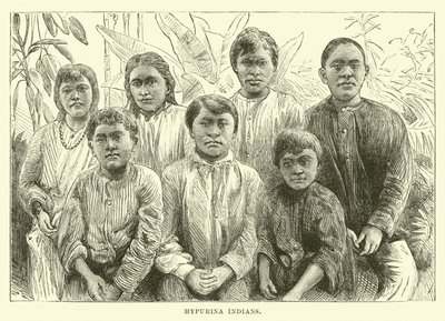Hypurina-indianer av English School