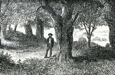 Illustration från 