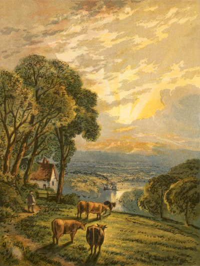 Illustration für Grays Elegie von English School